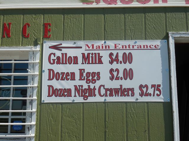 Cheaper to eat eggs than it is to go fishing?  
